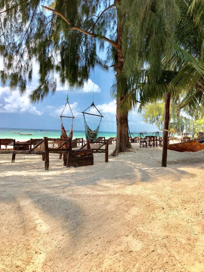 Simba Beach Zanzibar Kiwengwa  Kültér fotó