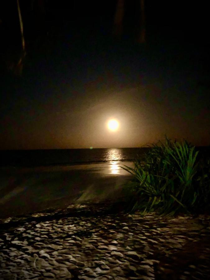 Simba Beach Zanzibar Kiwengwa  Kültér fotó