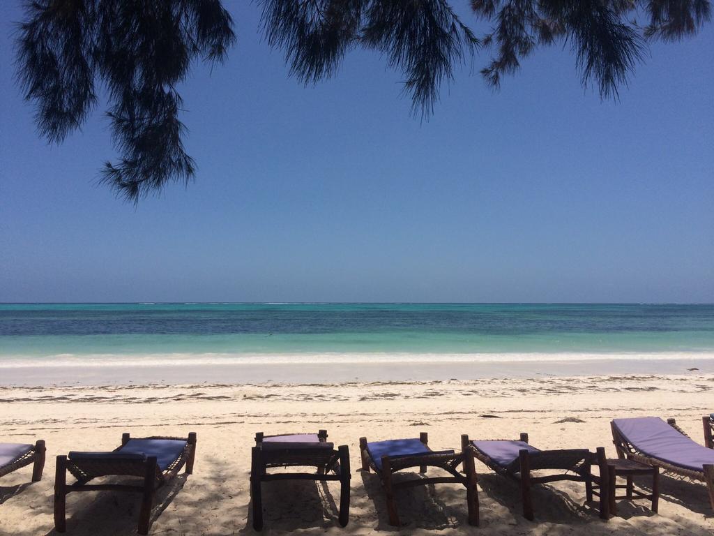 Simba Beach Zanzibar Kiwengwa  Kültér fotó