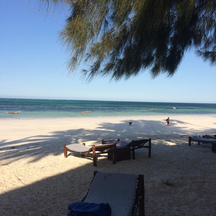 Simba Beach Zanzibar Kiwengwa  Kültér fotó