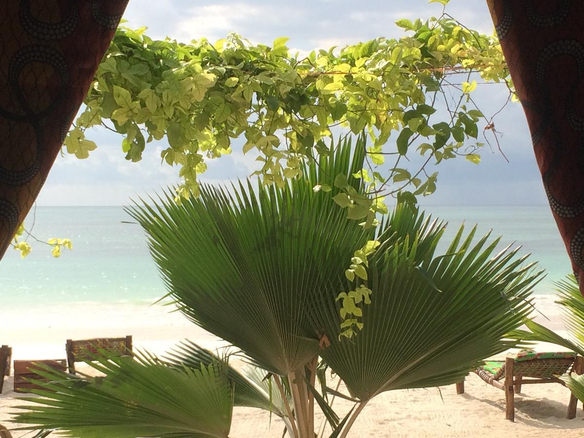 Simba Beach Zanzibar Kiwengwa  Kültér fotó