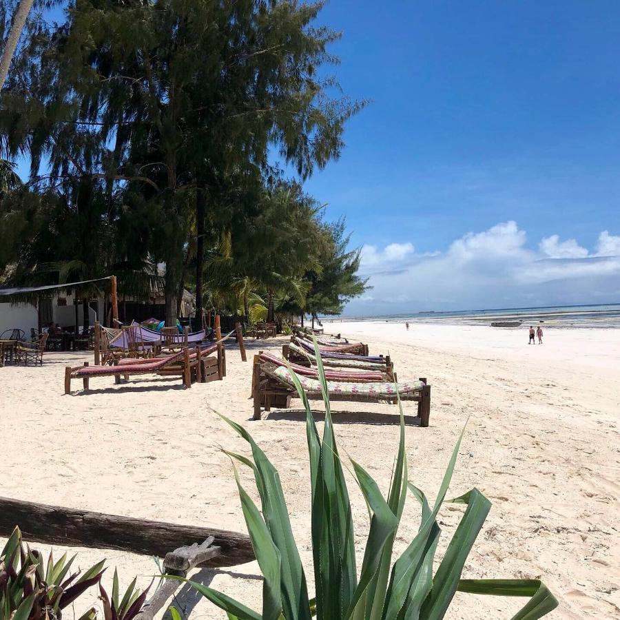 Simba Beach Zanzibar Kiwengwa  Kültér fotó