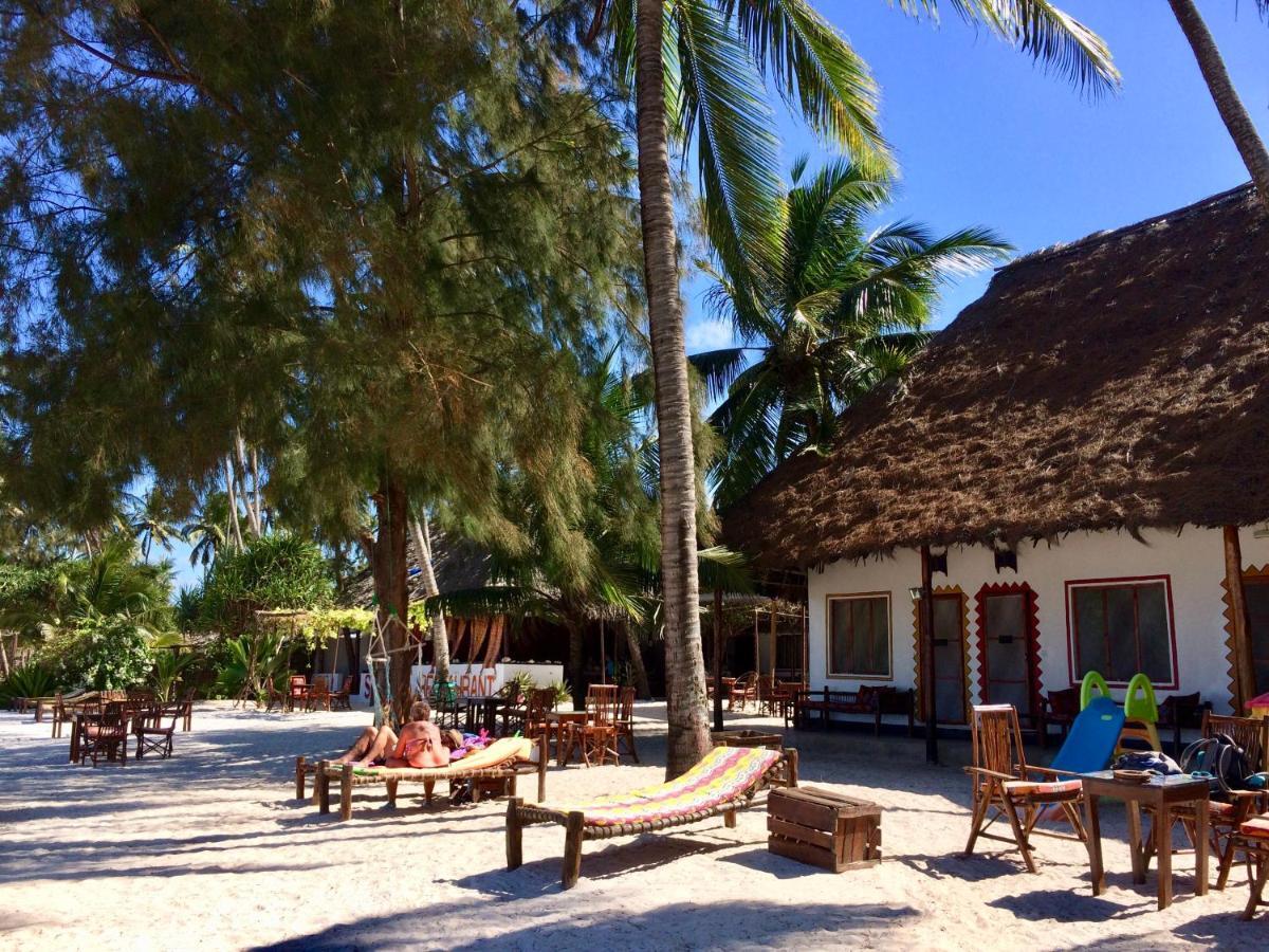 Simba Beach Zanzibar Kiwengwa  Kültér fotó